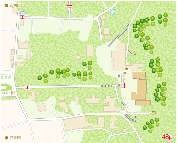 ��_�_�Ћ����}