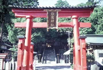 �����_��