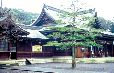 �u���_��