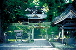 ���C�����{