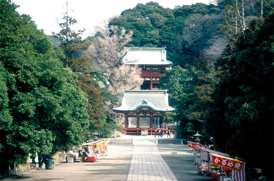 �߉������{