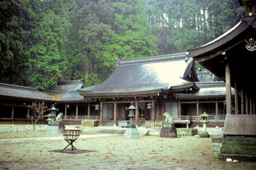 �����_��