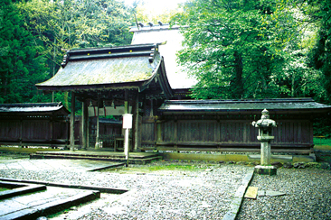 �ዷ�F�_�Х�ዷ�P�_��