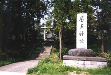 �����_��