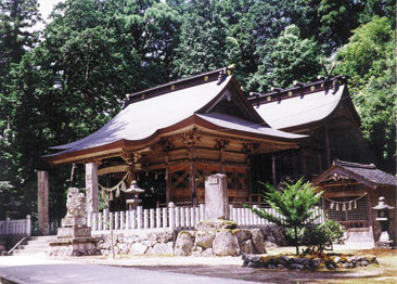 �����_��