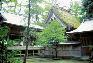 ����|�_��