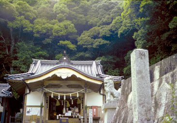 �Ώ�z�s���_��