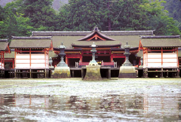 �����_��