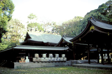 ���O�_�{�����_�{