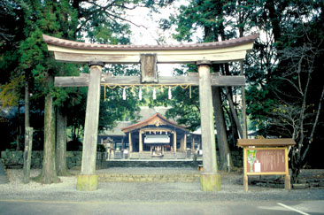 �y���_��