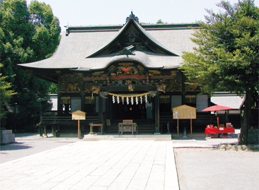 �����_��